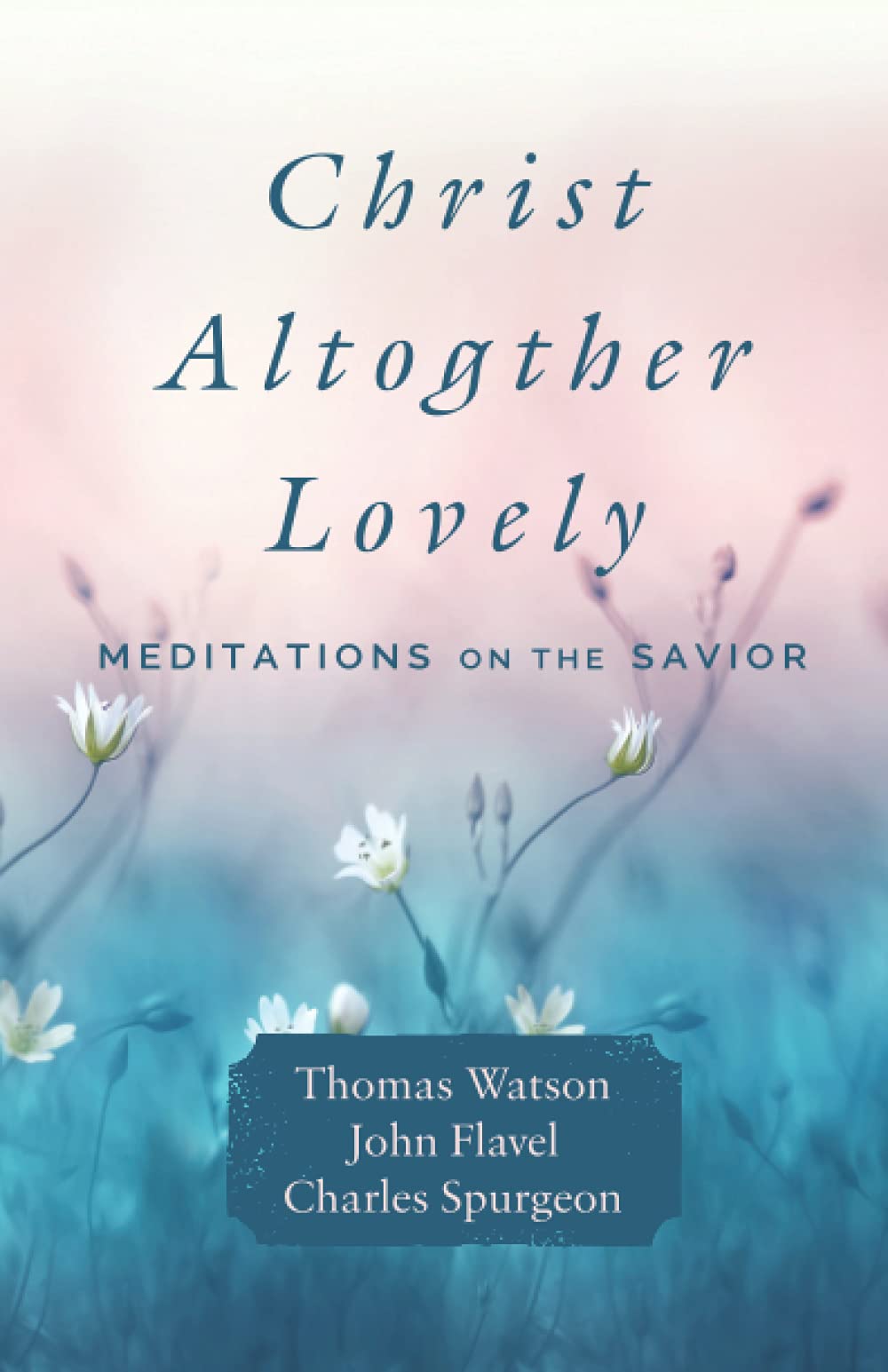 Christ Altogether Lovely: Meditations on the Savior