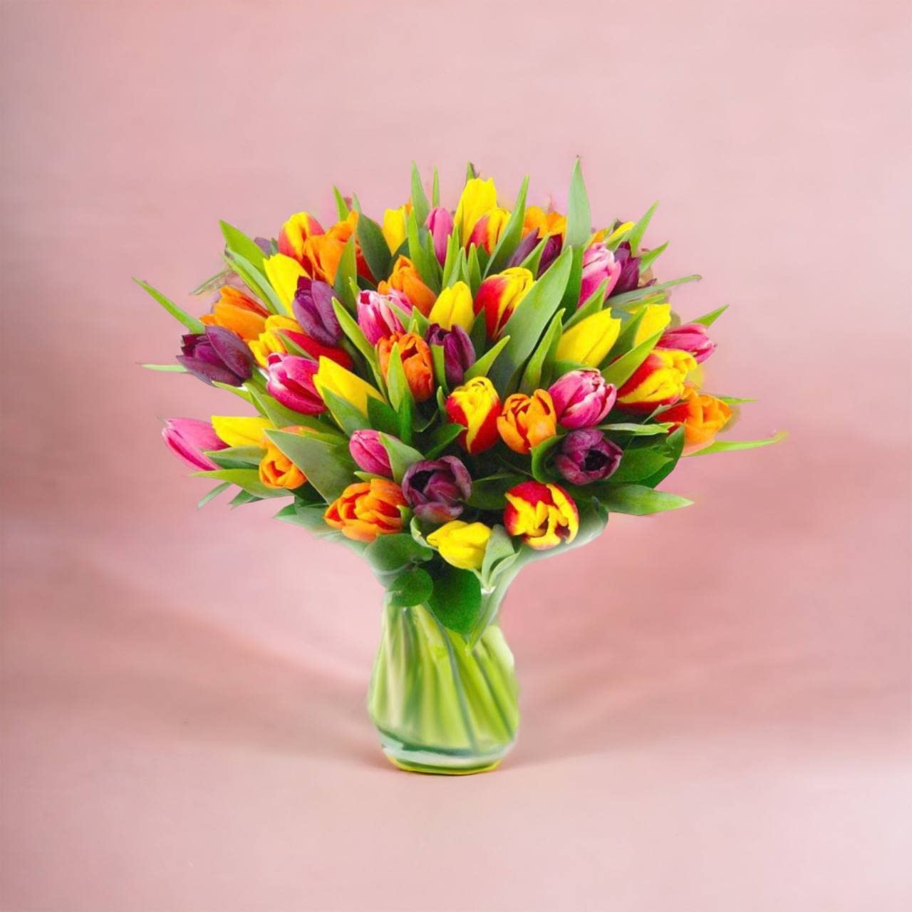 TULIPS RAINBOW - Flowers Delivery Next Day Prime Suitable for Thank You Birthday Congratulations Get Well Soon - Anniversary and more - Best Gift Is A Fresh Flower Bouquet