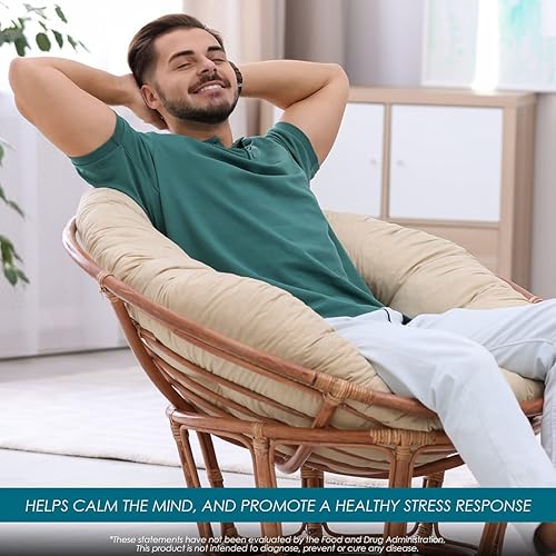 Miniatura 7 de BareOrganics Gotas líquidas de saúco, suplemento de hierbas, 1 onza (paquete de 2)