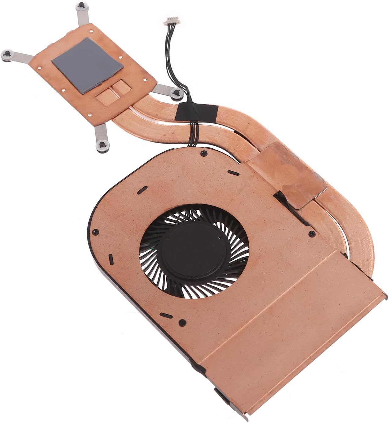 掛軸 書 合わせ箱 作庭家 重森三玲 掛軸 書 「天下奇特の事」合わせ箱