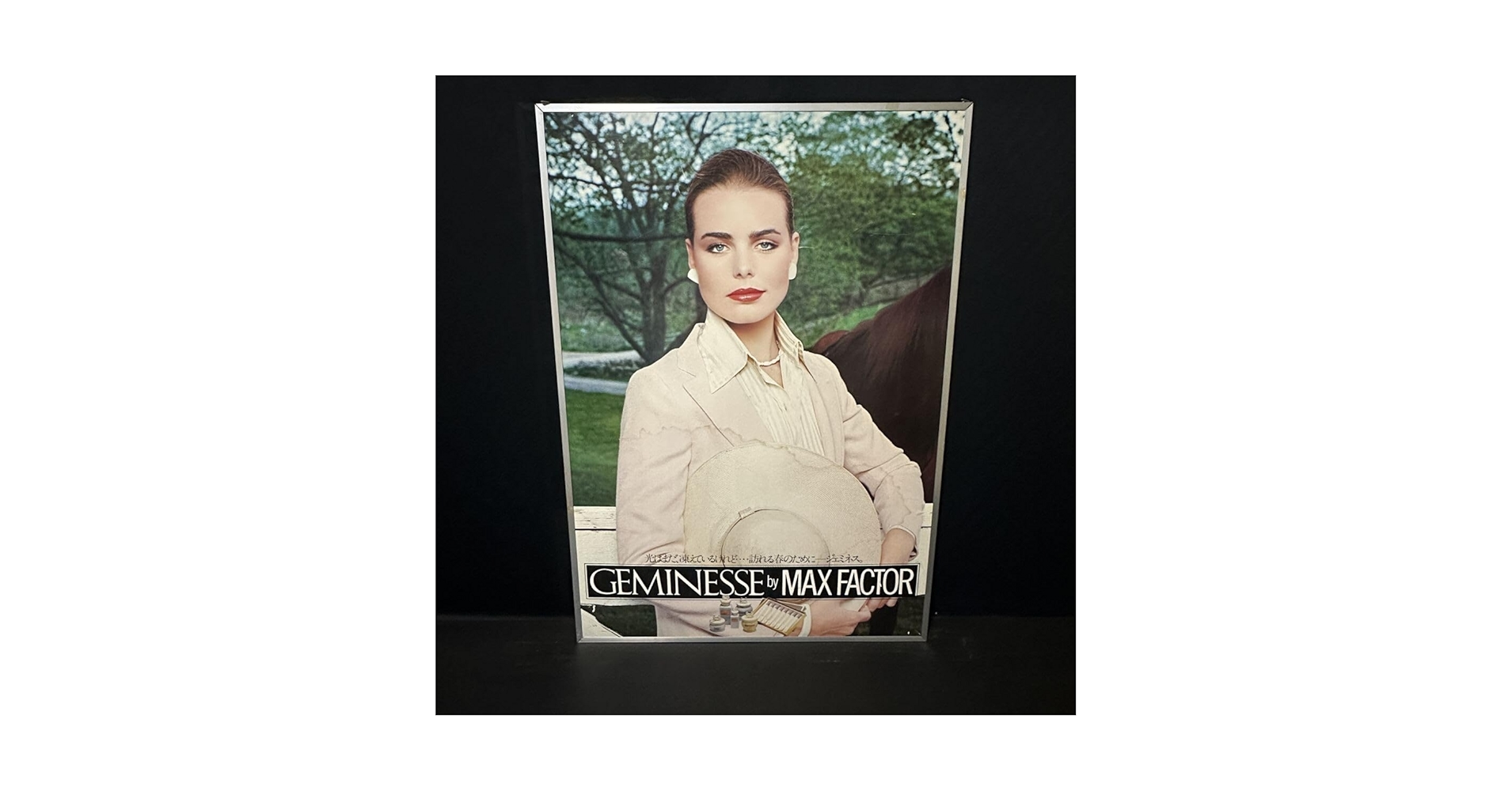 GEMINESSE by MAX FACTOR マックスファクター ポスター Amazon.co.jp: 70年代 MAX FACTOR マックスファクター GEMINESSE