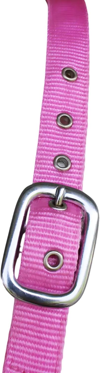 CHALLENGER Horse Nylon Neoprene Comfort Adjustable Halter w/Lead Pink 606204PK