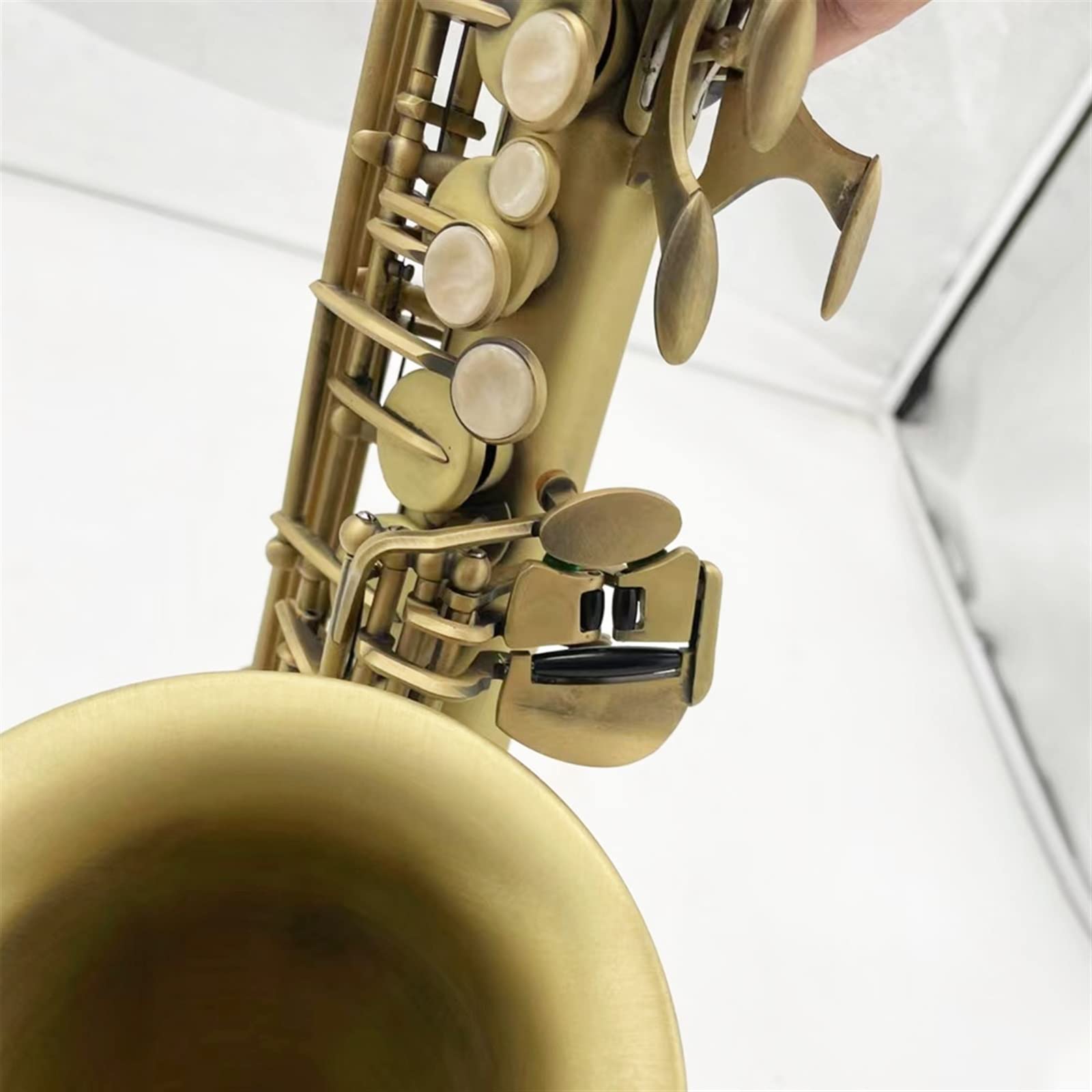 Sax Studente Sassofono Contralto Professionale Classico Strumento Musicale Sax con Motivo Inciso