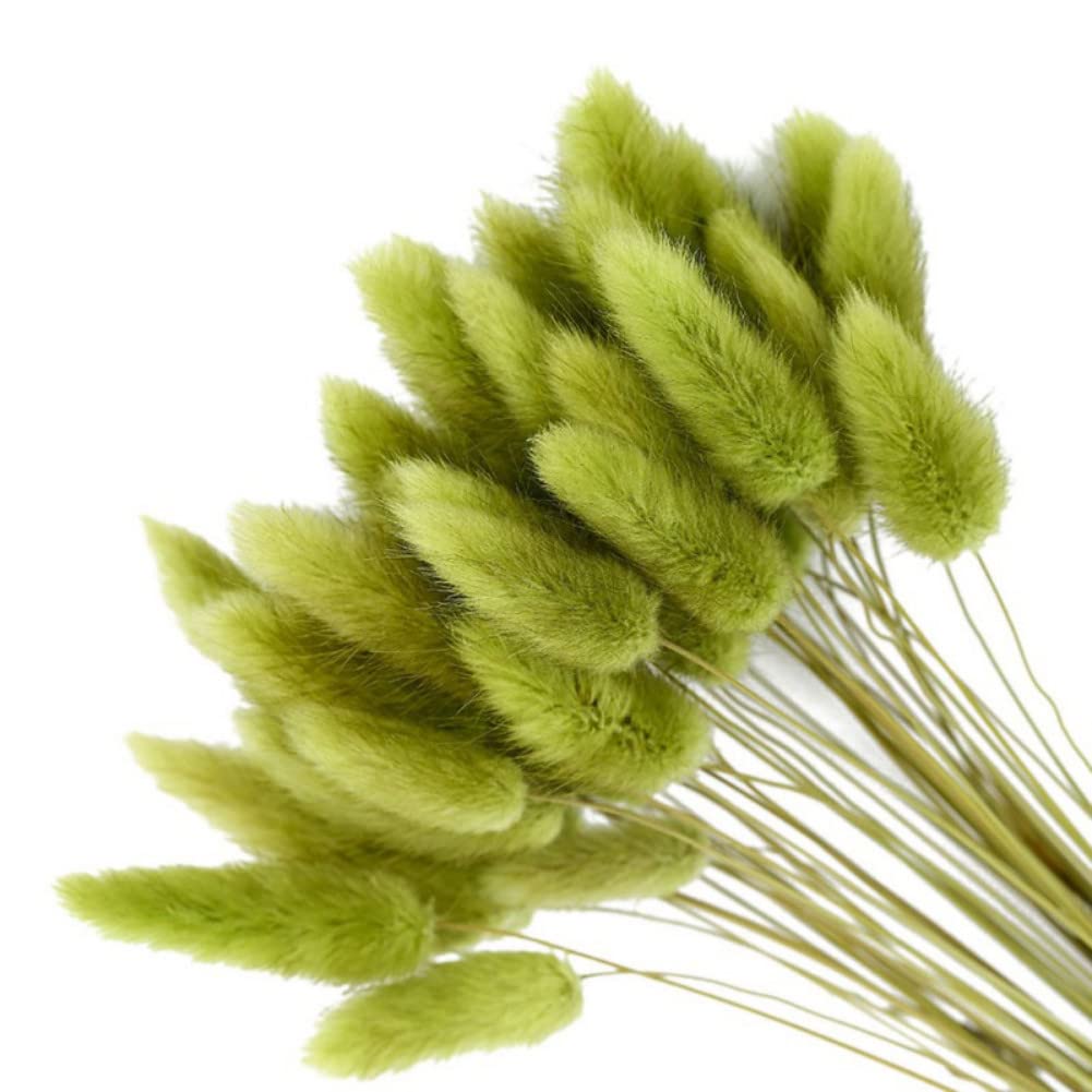 ChYoung 50pcs Fluffy Dried Bunny Tails Pampas Grass Decor, Multi-Colored Artificial Flowers Bouquet for Wedding Boho Home Table Decor Rustic Farmhouse Party Supplies