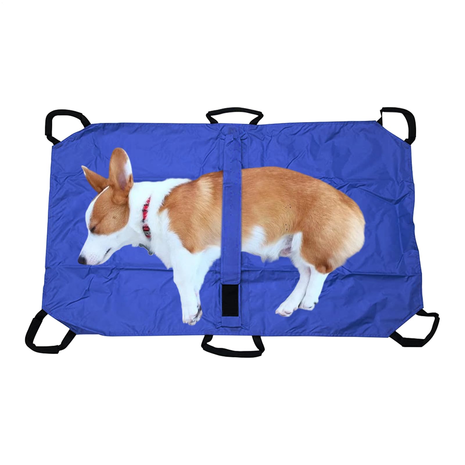 Civière de Transport pour Le Chien | Brancard Porte-Animaux | Léger pour Secours Et Levage De Patients Animaux Chiots Chats Lapins