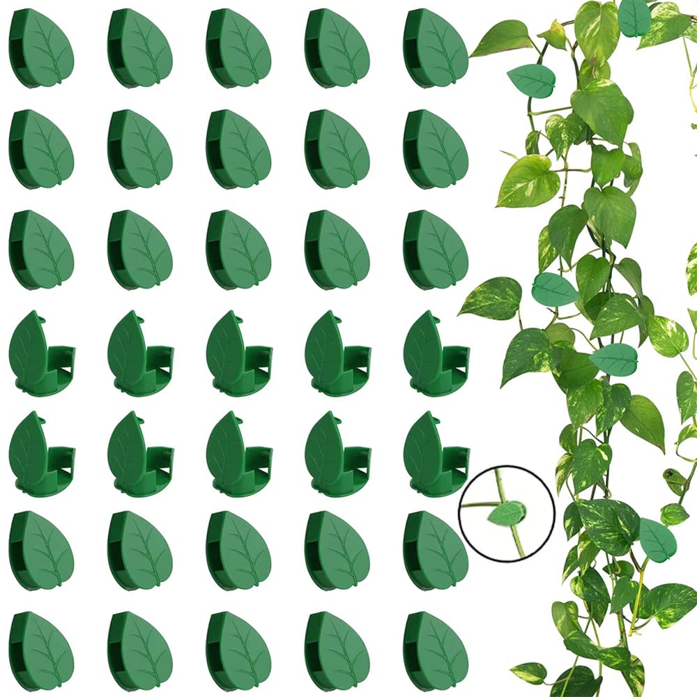 Homarket 100PCS Garden Plant Climbing Wall Fixture Clips, Invisible Self-Adhesive Fixer Sticky Hook Plants Climbing Wall Support Clip for Supporting Stems Grow Upright, Vines Traction