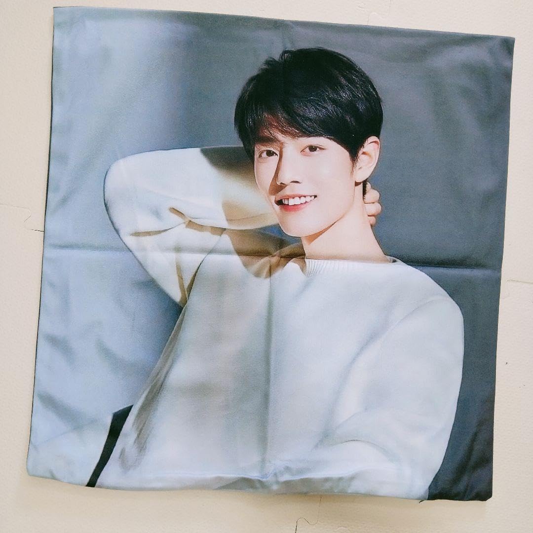 加厚 XLサイズ王一博 肖戦 博君一肖 50×50cm クッションカバー