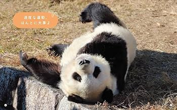 なたんたんページ Amazon.co.jp: パンダのタンタン、また明日ね : 二木 繁美: 本