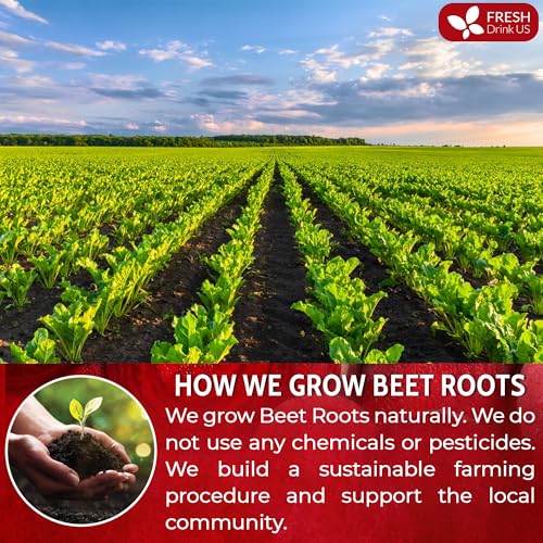 Image of FreshDrinkUS, Premium 42oz Beet Root Powder, 100% Natural and Pure from Beet Root, Beetroot Powder Perfect for Smoothies, Energy Booster, Soups and Sauces. No Additives, No Gluten, No Sugar, Vegan