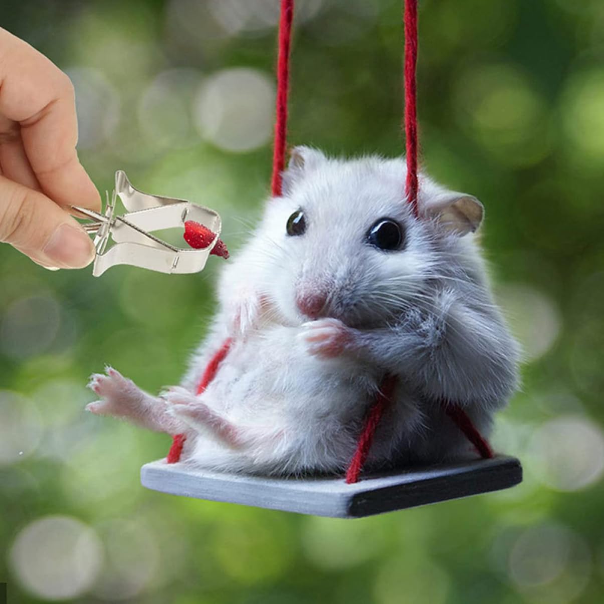 POPETPOP 18pezzi Supporto Alimentare Per Uccelli Acciaio Inossidabile Da Clip Per Frutta e Verdura Accessori Per Pappagalli e Piccoli Animali Sicuro e Pratico Per Alimentazione e Gioco