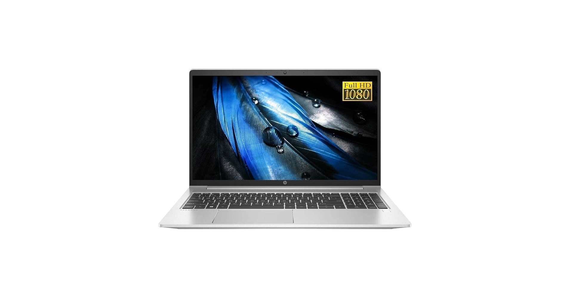 Amazon.com: HP ProBook 455 G8 15.6