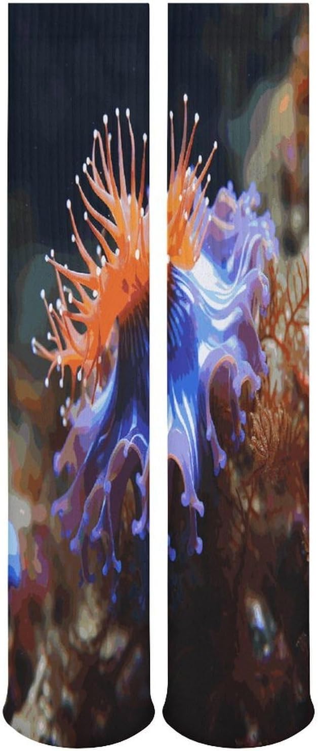 Nudibranch Knee High Socks Cozy Knee High Socks Soft Mid-Length Sock for All Seasons Daily Wear Adult