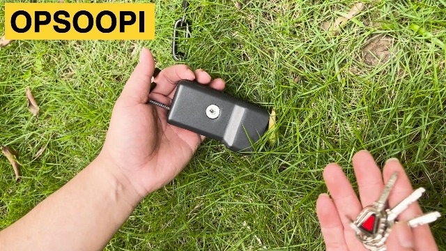 Amazon.com: Steering Wheel Lock Anti-Theft Device, Military-Grade