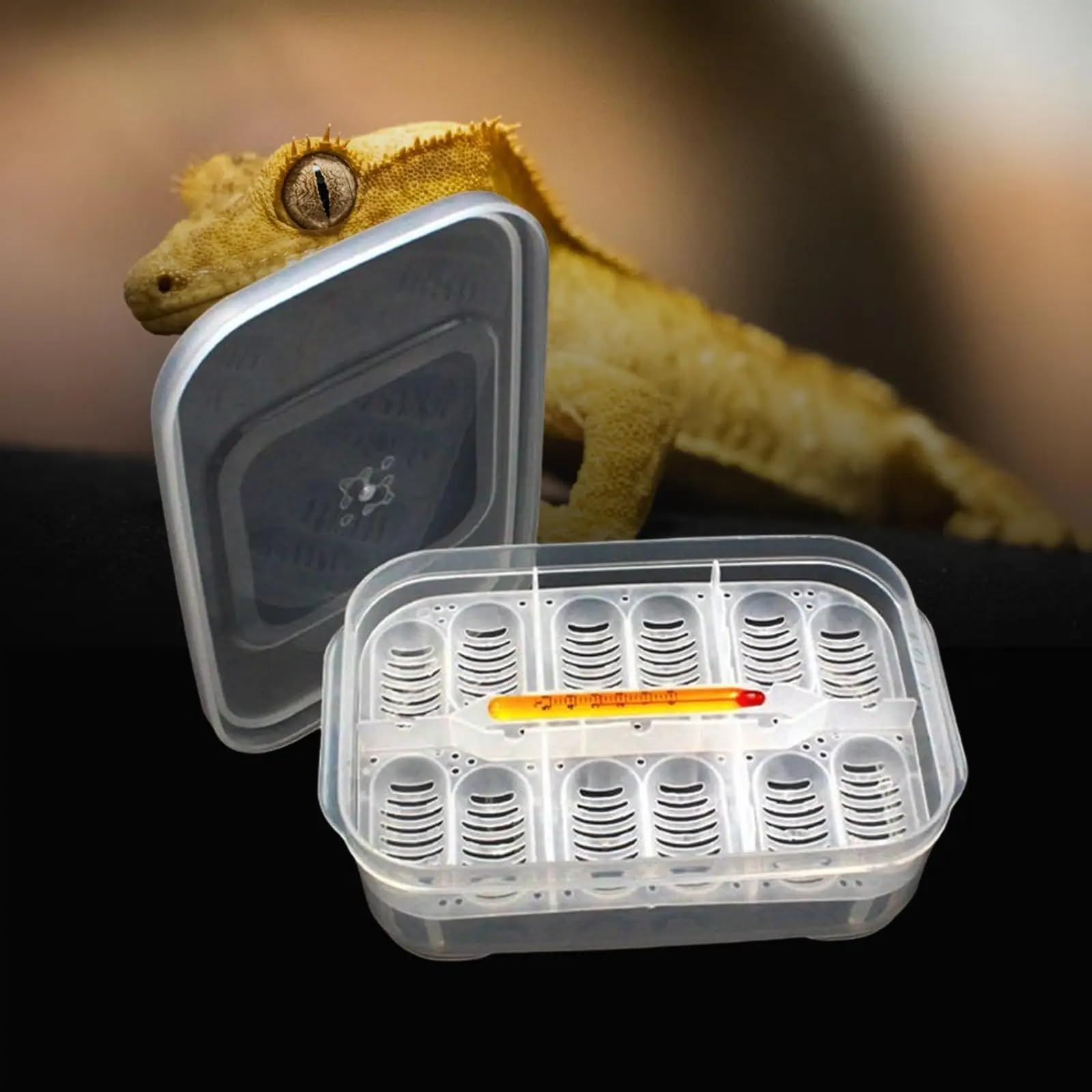 Inkubator Reptilien Reptilien-Zuchtbox, Inkubator, Hänge-Brutkasten, Werkzeug, DIY-Behälter for Schlüpfen, Inkubation, Zuchtbedarf, Schildkröten, Gecko Brutautomat