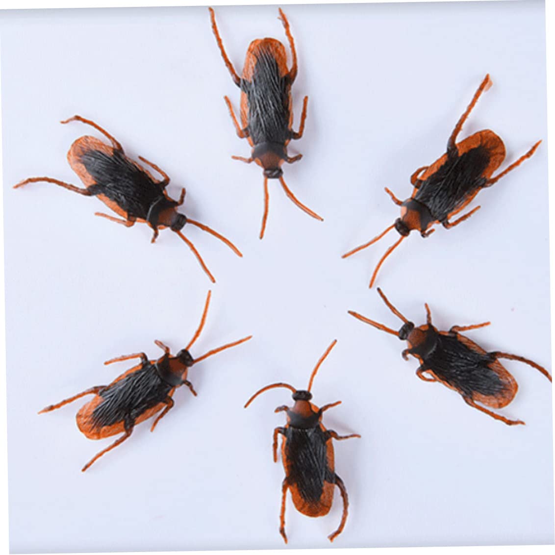 10 pezzi falsi scarafaggi di scarafaggi di plastica realistici Insetti di scherzo giocattoli scherzi scarichi bug per gli sciocchi.
