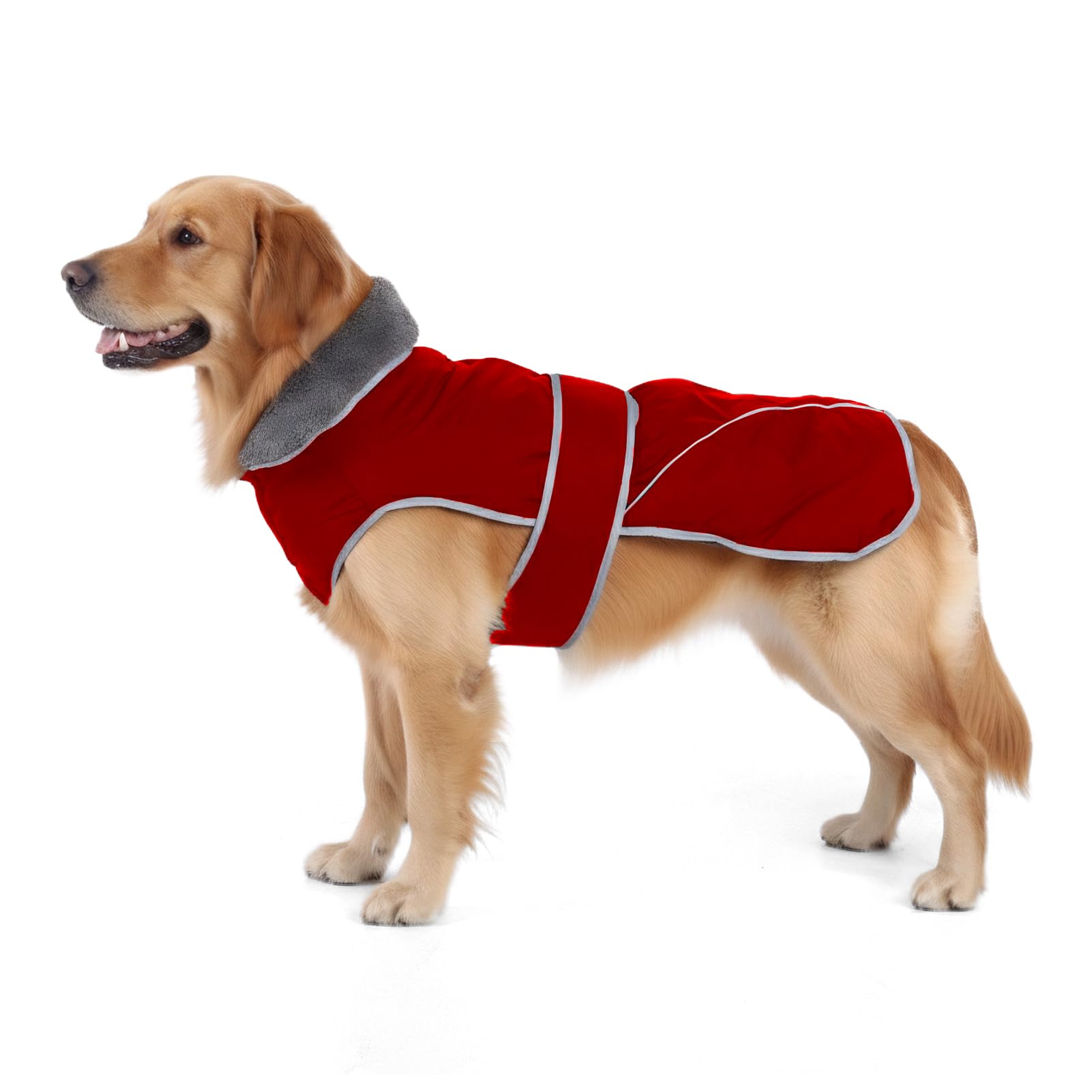 Chaqueta para perro impermeable abrigo reflectante de nieve exterior