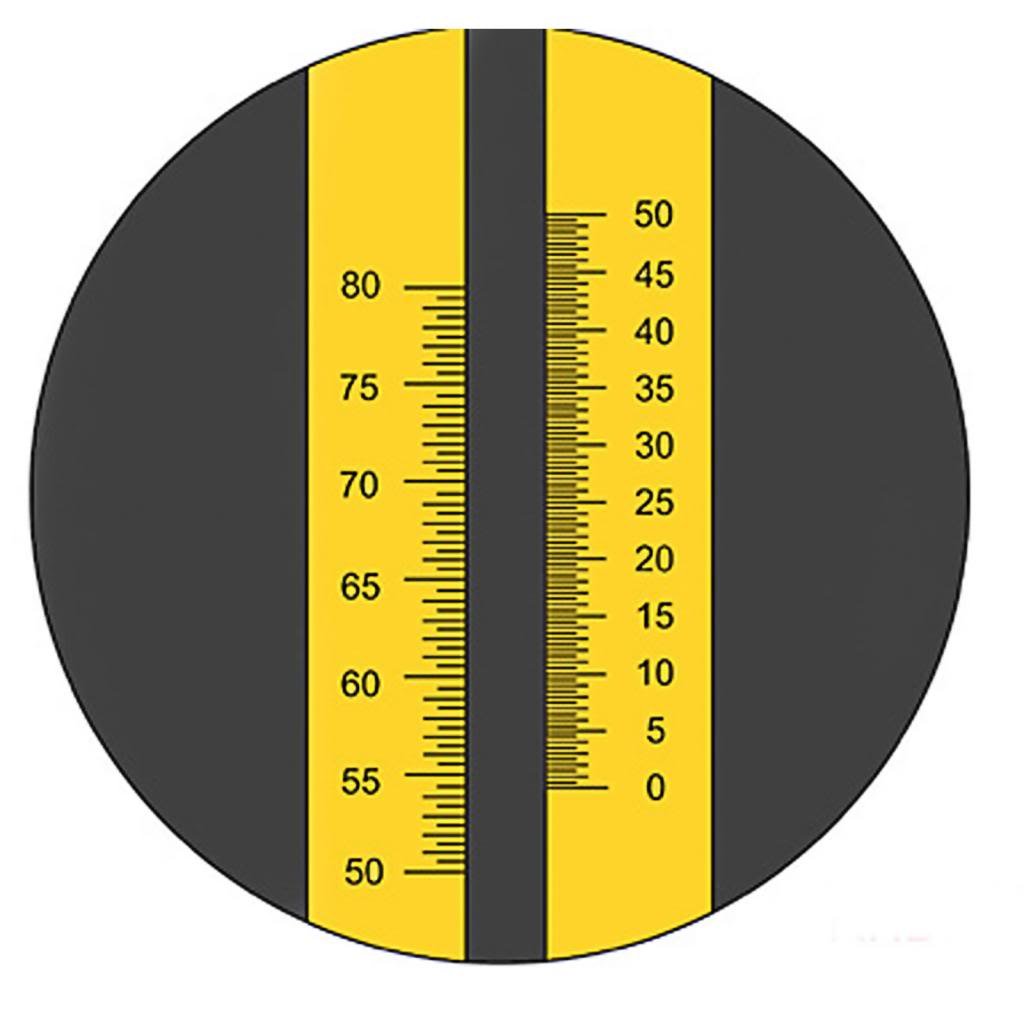 Buy Generic 0 to 80 Percent Brix Refractometer Syrup Jam CNC Online at Low  Prices in India - Amazon.in