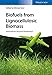 Produktbild Biofuels from Lignocellulosic Biomass: Innovations beyond Bioethanol