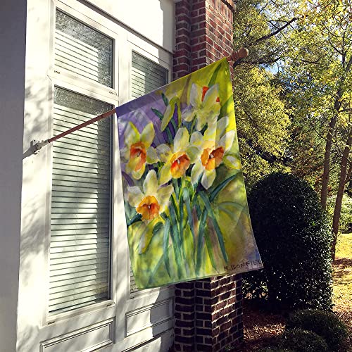 Jonquilles Maureen Bonfield drapeau grand format pour embellir une façade terne