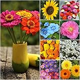 Seed Needs, 2 Ounce 30,000+ All Perennial Wildflower Seed Mix for Planting (99% Pure Live Seed - No Filler) Flower Seeds 16 Species Varieties Perennial - Bulk (Cut Flower (30,000 Seeds))