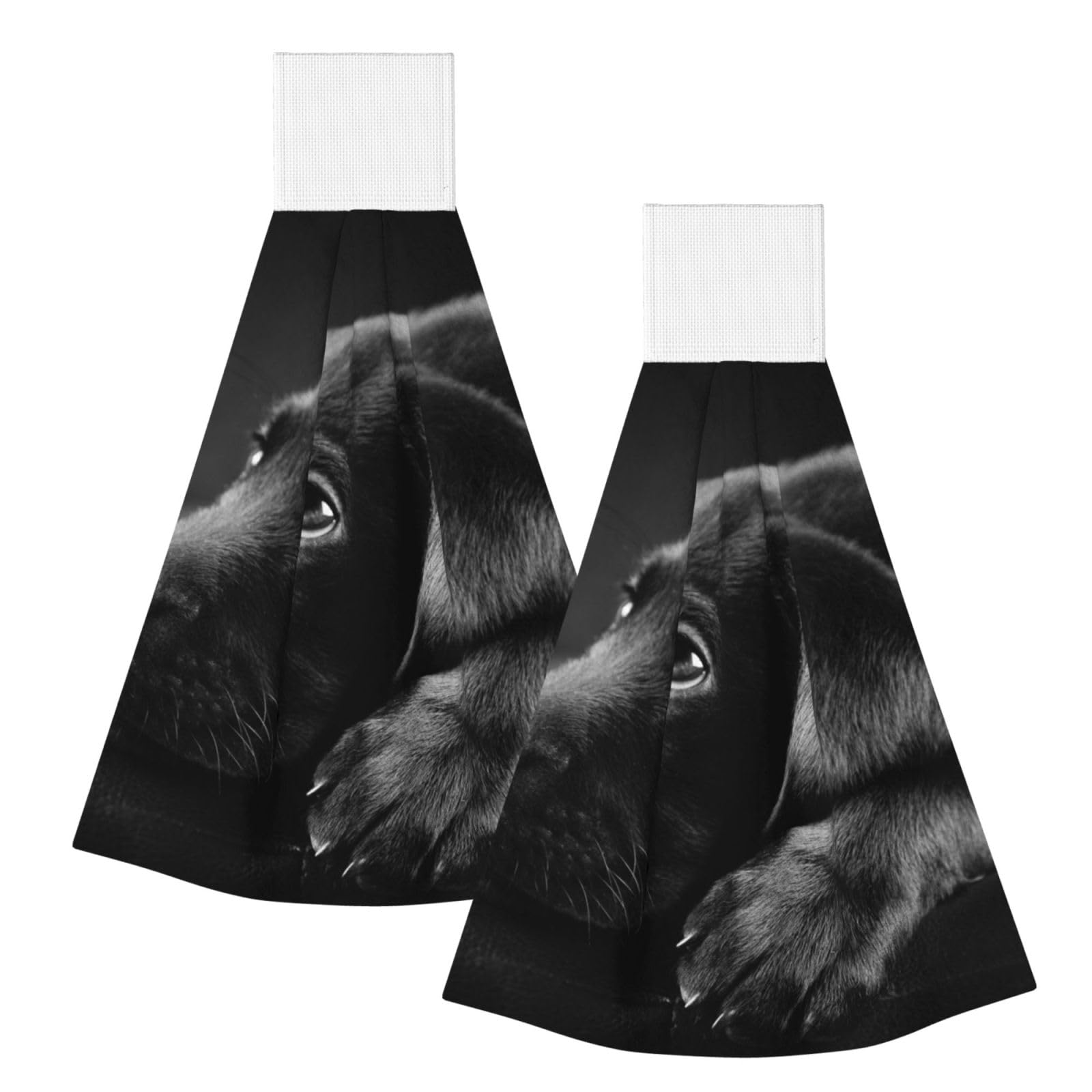 DOPKLNA Black Labrador Puppy Art, 2 Pcs Hanging Coral Fiber Hand Towels for Bathroom, Absorbent Kitchen Towels