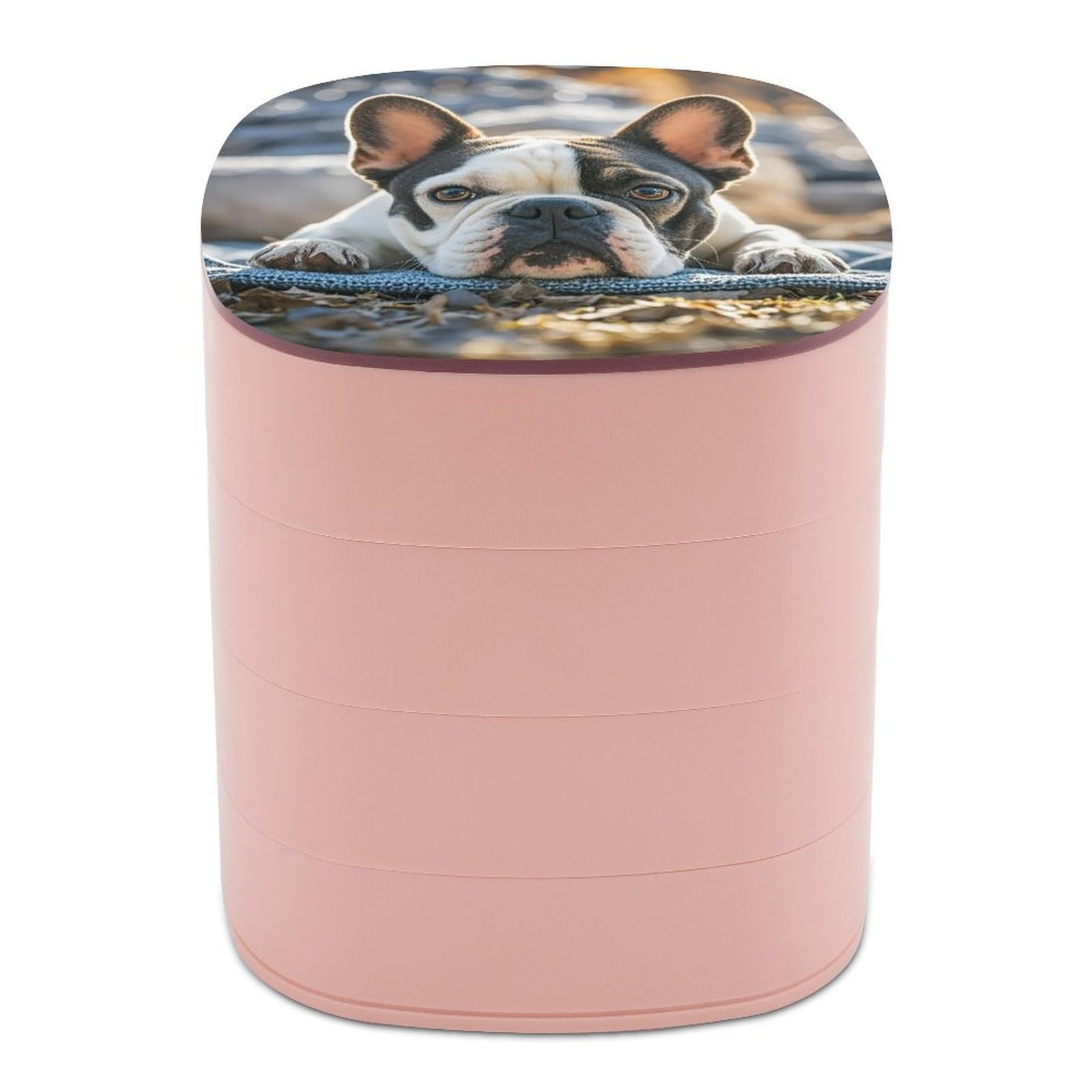 LZQPOEAS French Bulldog Dog Cute Jewelry Box with Mirror 4-Layer Rotating Travel Jewelry Case Small Jewelry Organizer Portable Jewelry Storage Box Rings Stud Necklaces Earring Holder for Women