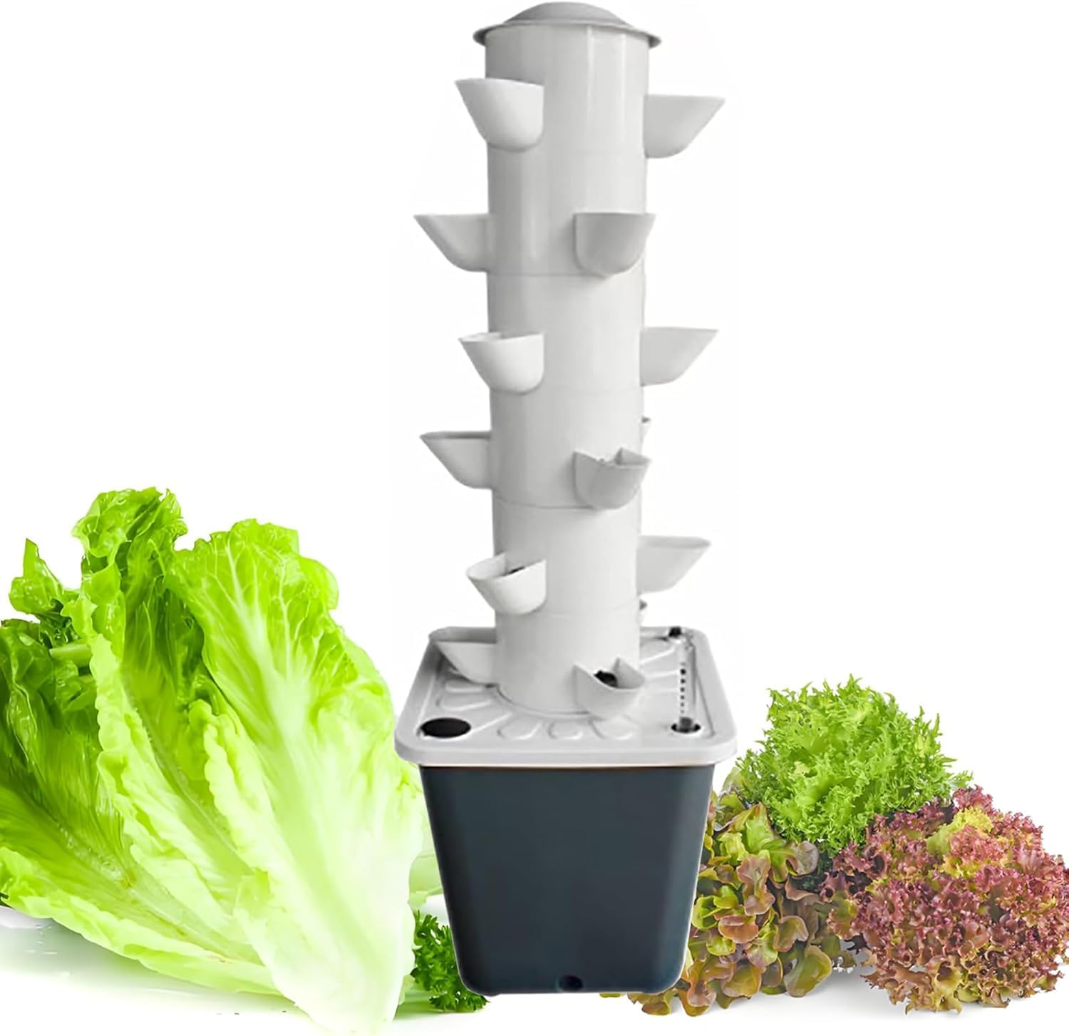 Système de culture hydroponique pour légumes et laitues : potager de balcon à 18 gousses