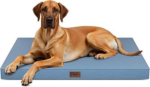 Miniatura 17 de Cama Ortopédica para Perros de Exterior para Perros Medianos y Gatos, Tapete Plano Impermeable para Mascotas con Espuma de Caja de Huevos y Funda