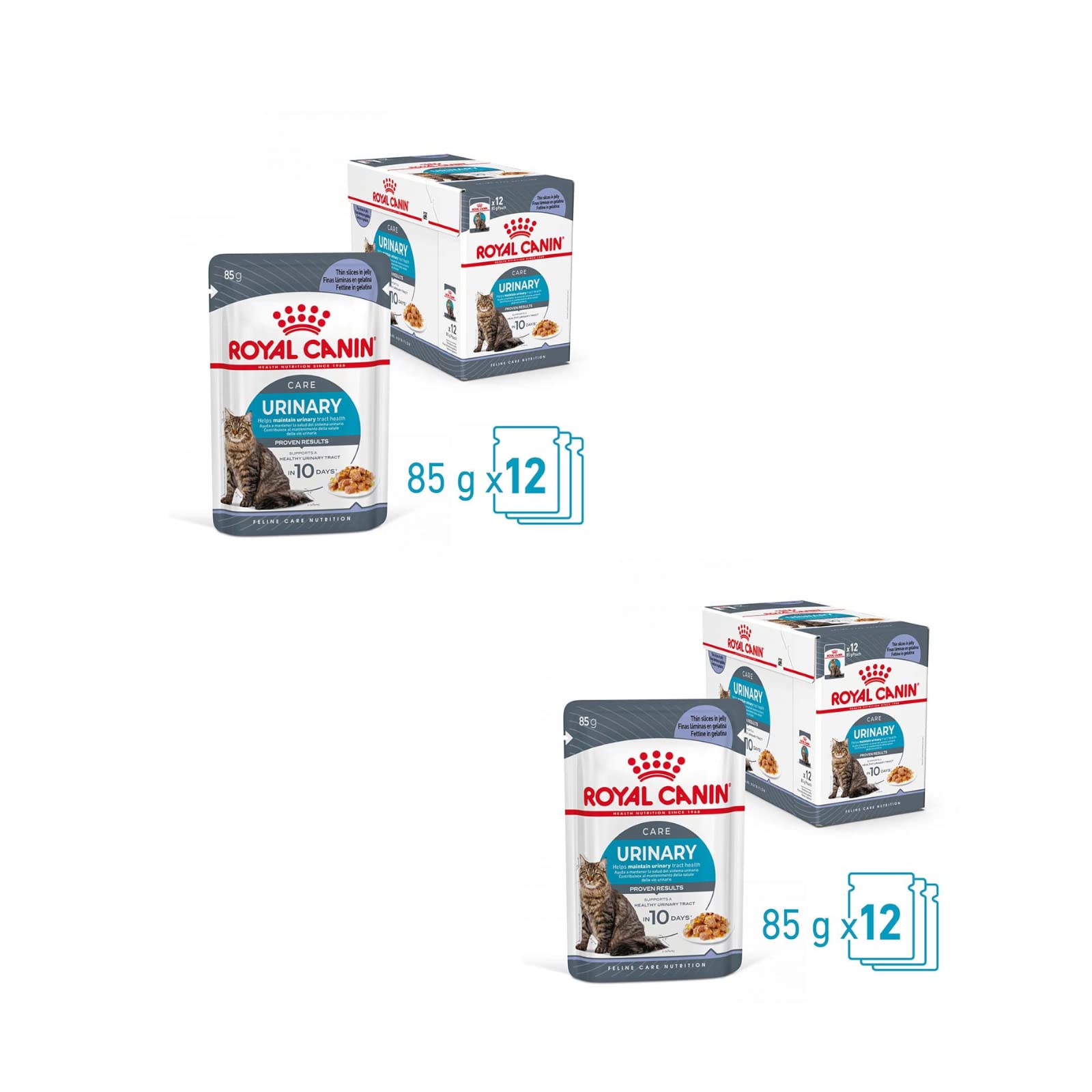 Royal Canin FCN Urinary Care Jelly | Paquete doble | 2 x 12 x 85 g | Alimento completo para gatos adultos (gelatina) | Puede ayudar a apoyar la salud del tracto urinario