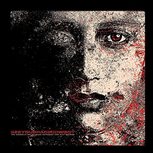 The Correlation Between Entrance And Exit Wounds (LP) [VINYL]