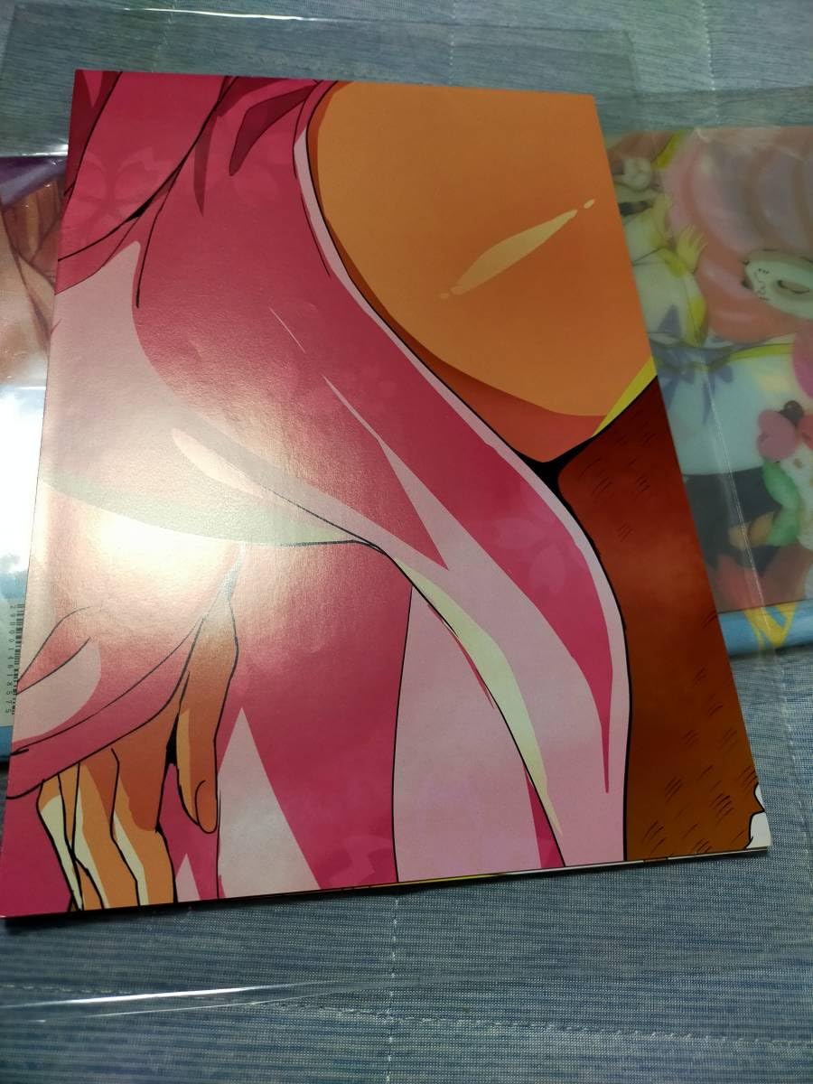 Amazon.co.jp: 武田弘光描き下ろしBIGポスター 八つ折 二条秋 マケン姫 