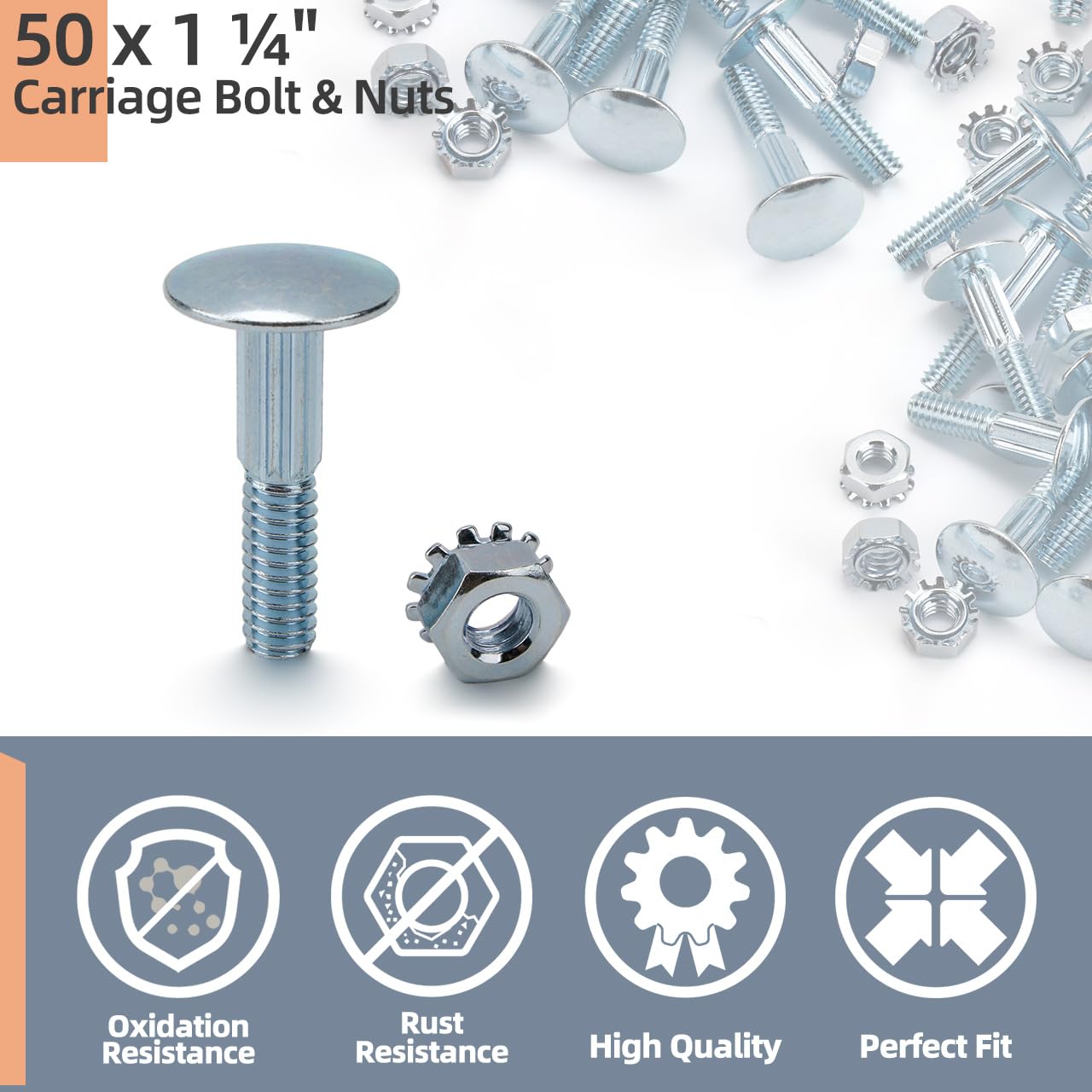 Carriage Bolts for Todco Roll-Up Doors - 50 Pack -5 Carriage Bolts for Todco Roll-Up Doors - 50 Pack -5