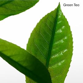 Calvin Klein CK One Deodorant Stick - With Notes of Green Tea, Bergamot, Cardamom, Violet & Amber - 2.6oz