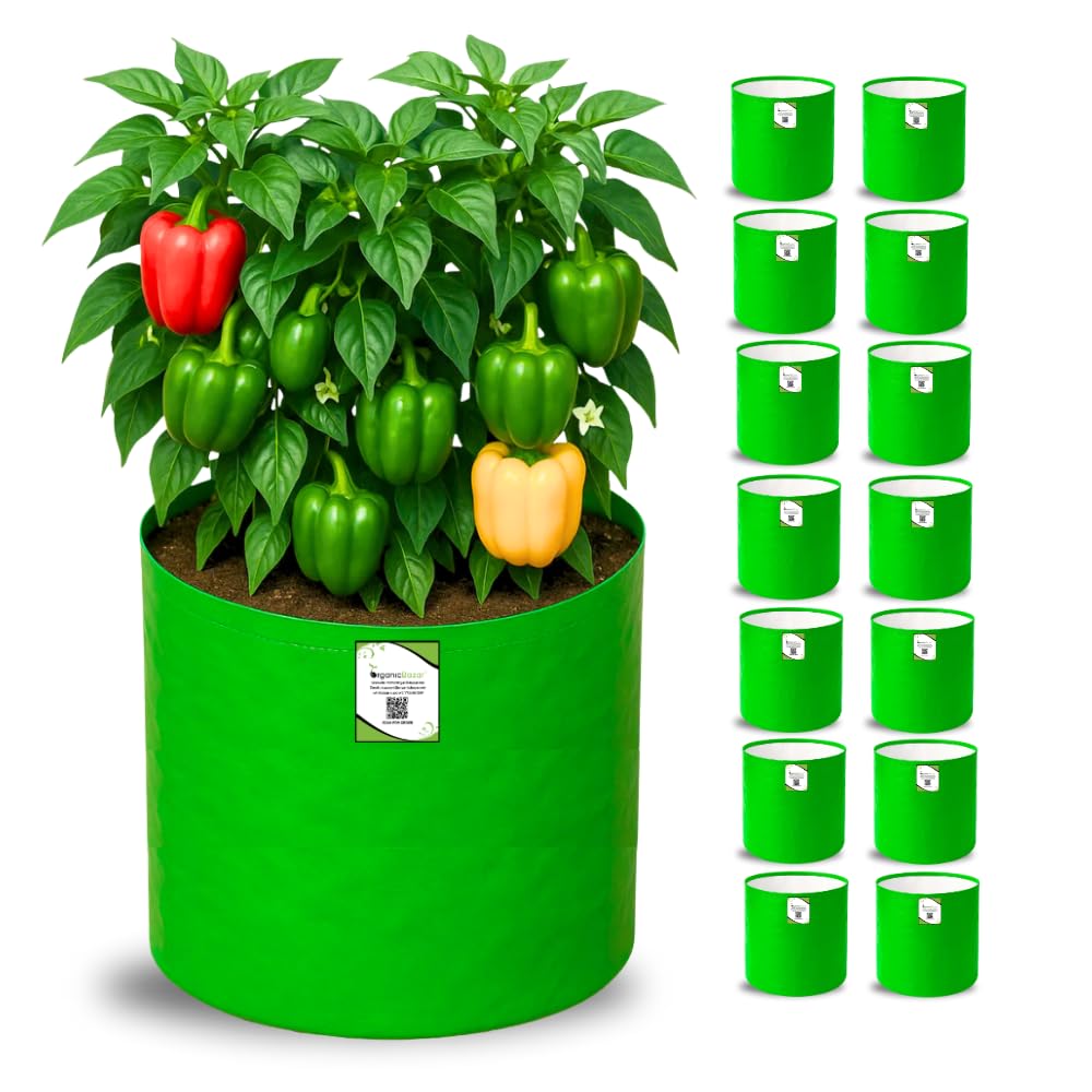 Big Fruit Plant Grow Bags - Organic Bazar (Pack of 2) -28 Big Fruit Plant Grow Bags - Organic Bazar (Pack of 2) -28