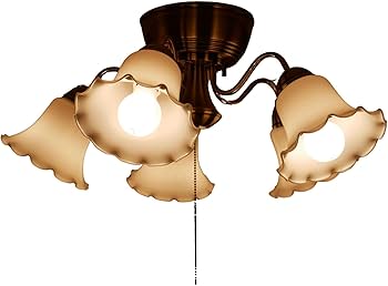 Amazon.co.jp : シャンデリア フラワー led ガラス 電球別 KMS Amazon.co.jp : シャンデリア フラワー led ガラス 電球別 KMS