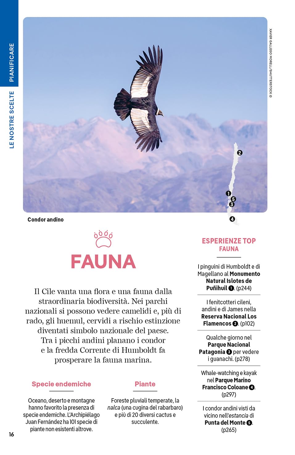 Cile e Isola di Pasqua