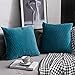 DEZENE Federe per Cuscini Turchesi 45 cm x 45 cm: 2 Pezzi di Fodere per Cuscini Decorativi Quadrati in Velluto a Strisce Originali per Divano Letto