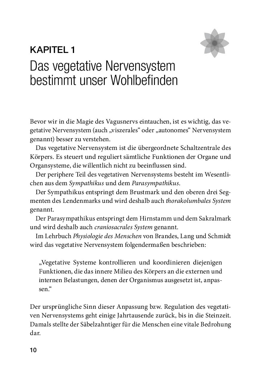 Der Vagus Code: Neue Perspektiven für Resilienz und Gelassenheit
