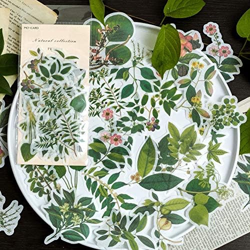 Vinyl Green Plants Style Stickers Pack 60 Pcs Foliage Stickers Botanical Stickers Plants Decals for Laptop Bumper Helmet Ipad Car Luggage Water Bottle