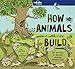 How Animals Build (Lonely Planet Kids)