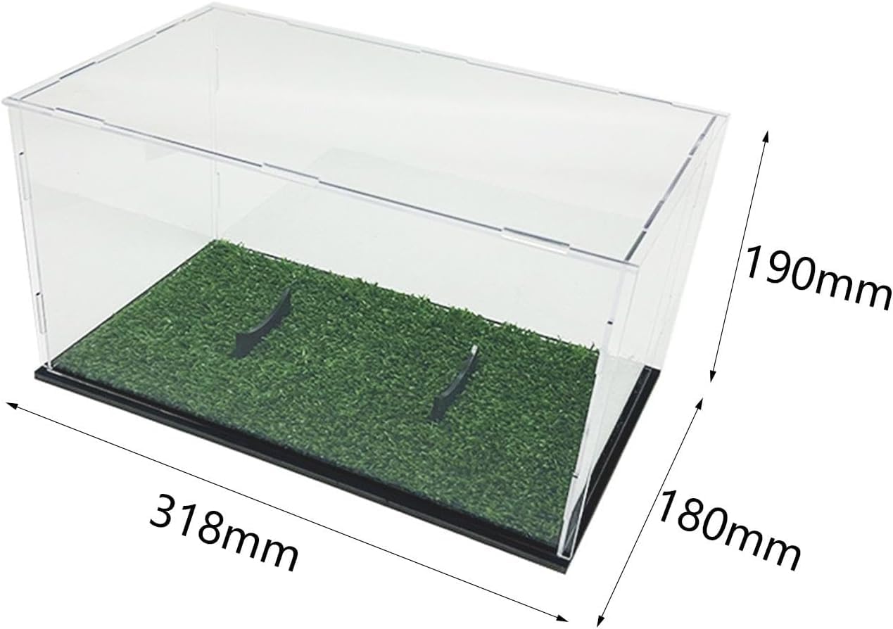 Vitrine en acrylique transparent pour ballon de rugby - 31,8 x 18 x 19 cm - Boîte de rangement pour objets de collection (avec herbe)