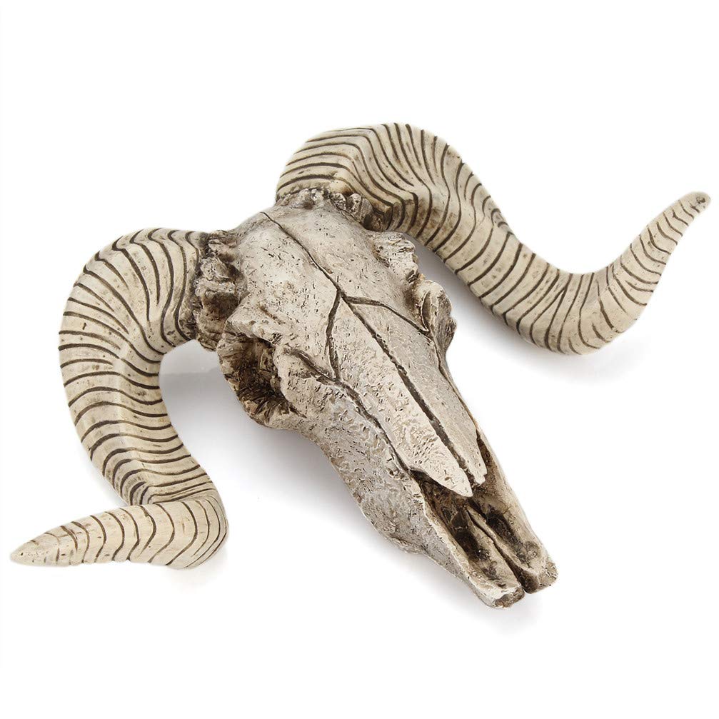 BALANSOHOSkull Sheep Head Wall Sculpture Faux 3D Animal Longhorn Statue Bust, Wall Hanging Figurines Crafts, 17.5 Inch, Polyresin, Full Color
