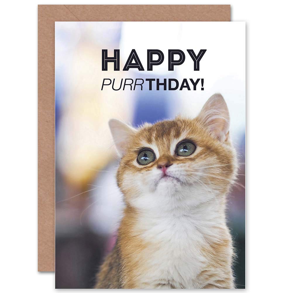 Artery8 Birthday Happy Cat Kitten Purr Design Greeting Card