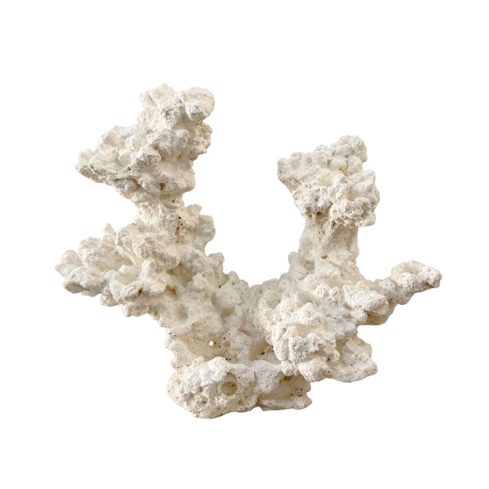 Décoration D'aquarium pour Poisson-Clown : Cachette, Sculpture Ornementale, Grotte de Reproduction pour Aquarium d'eau Douce, Accessoires pour, Style C