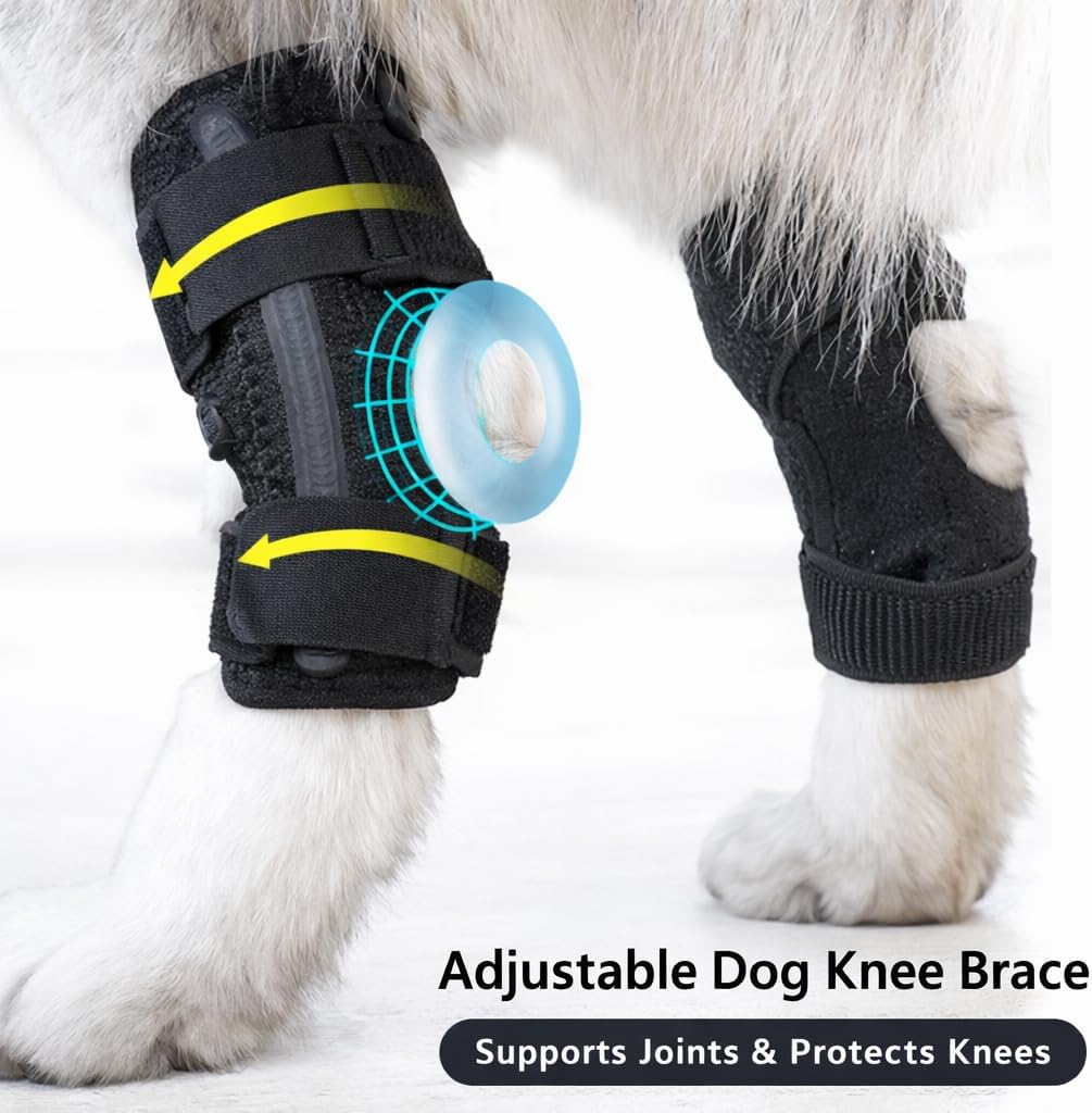 Dog Front Leg Brace 2 Pack for Luxating Patella, Arthritis – Adjustable Dog Leg Sleeve for Front & Rear Leg Support, Arthritis & Injury Recovery for Support Joint Recovery, Large Dog Knee Brace