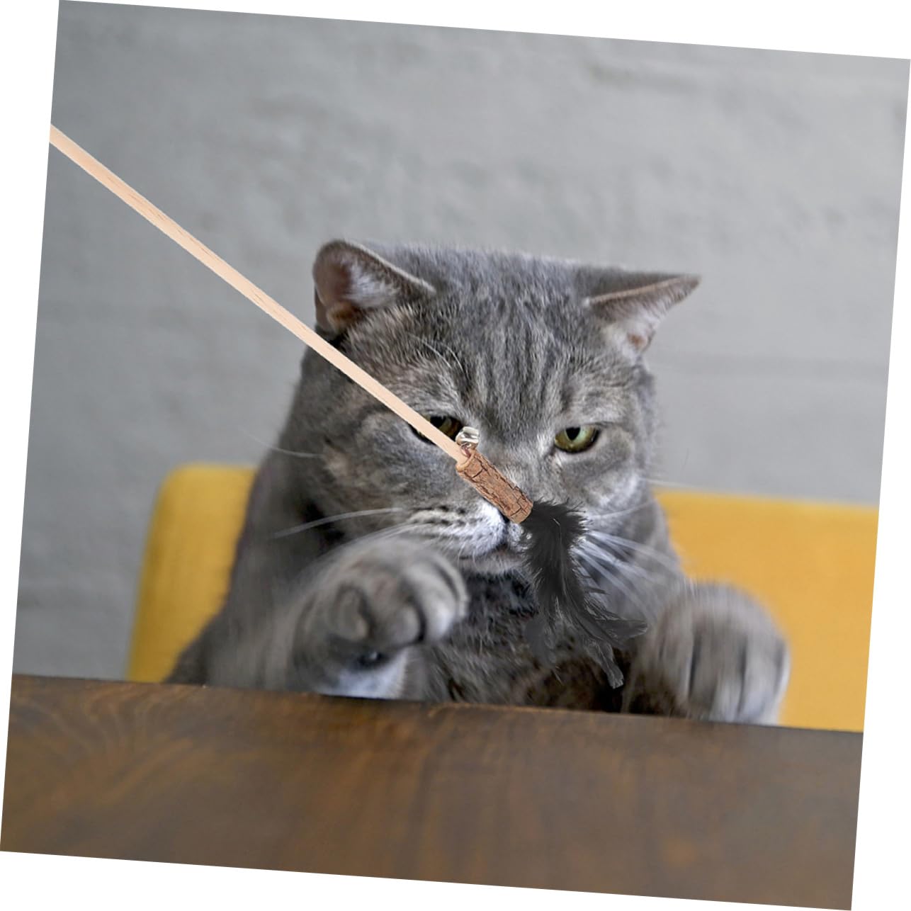 Sosoport 5 Set Di Canne Da Pesca Per Gatti Gioco Interattivo Attraente Gioco Da Appendere Per Gatti 3 Pezzi * 5