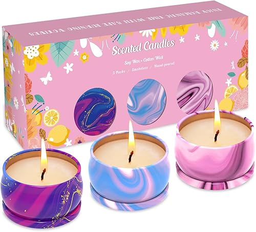 Juego de 3 velas perfumadas, juego de velas de aromaterapia, velas perfumadas para el hogar, para invierno, vacaciones, Navidad, vacaciones, clima