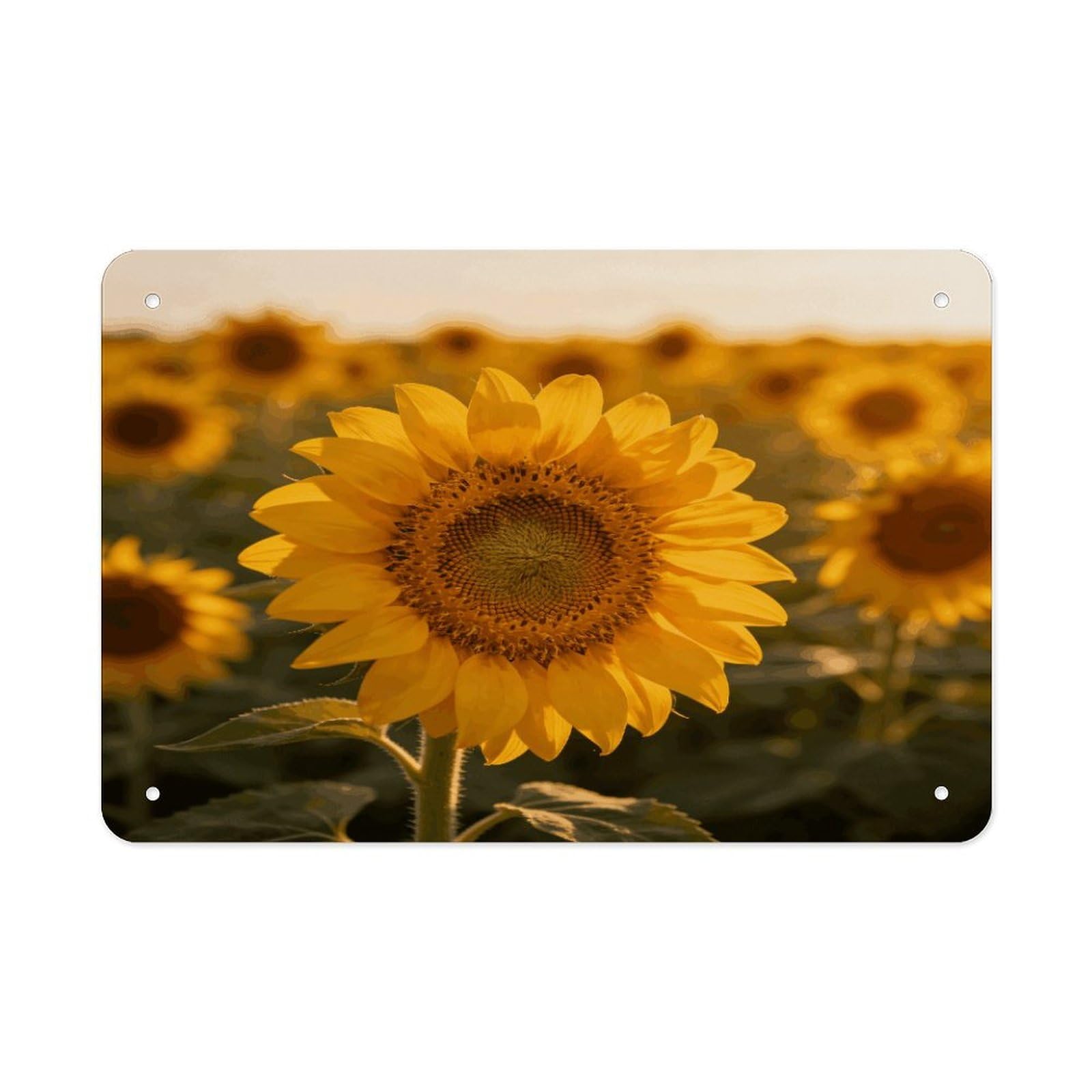 Fodpand Style Sunflower Wall Art Metal Tin Signs Bar Metal Tin Sign Wall Decor For Home Living Room Bedroom Toilet Hotel Halloween Decor Gifts 7.9X 11.8 Inch