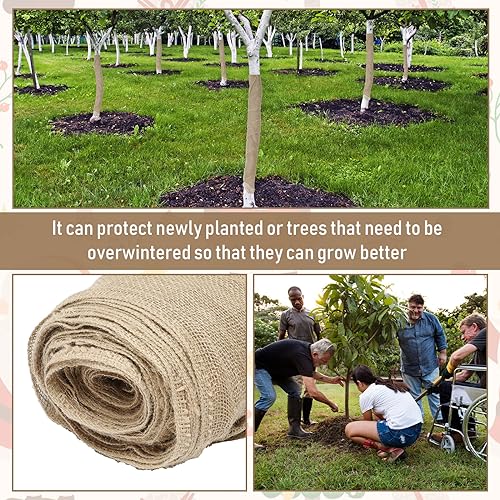 Tranqun Burlap Tree Wrap Rolls 40'' x 100 ft Burlap Fabric Tree Trunk Protector Burlap Garden Plants Wrap Bandage for Keeping Warm and Moisturizing - Thumbnail 6
