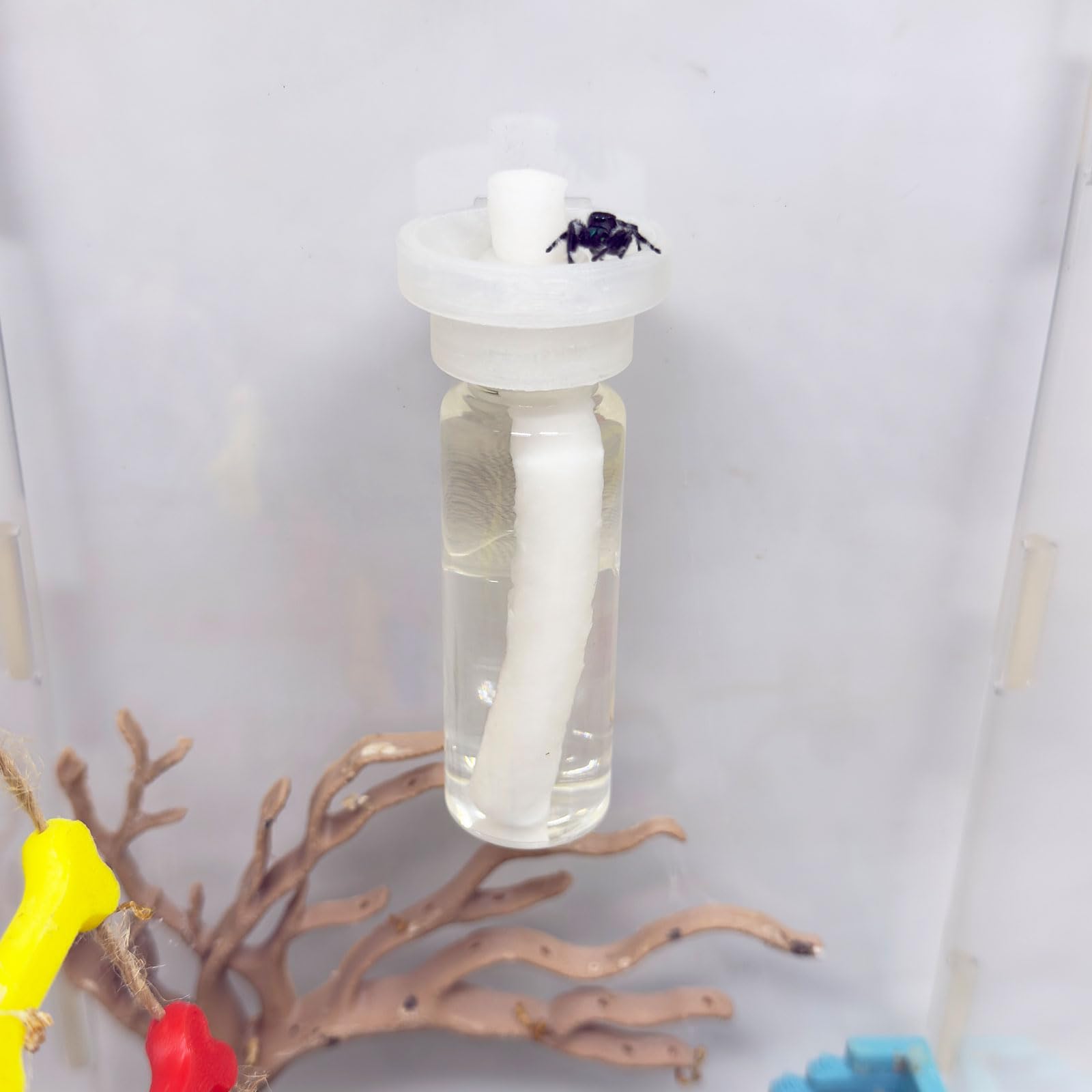 Jumping Spider Water Dispenser, Magnetic Hanging Feeder,Suitable for Jumping Spiders,Tarantulas, Praying Mantises,Arboreal Animals, and Other Small Animal Enclosure Accessories (Wood Color, 5ML) — view 12
